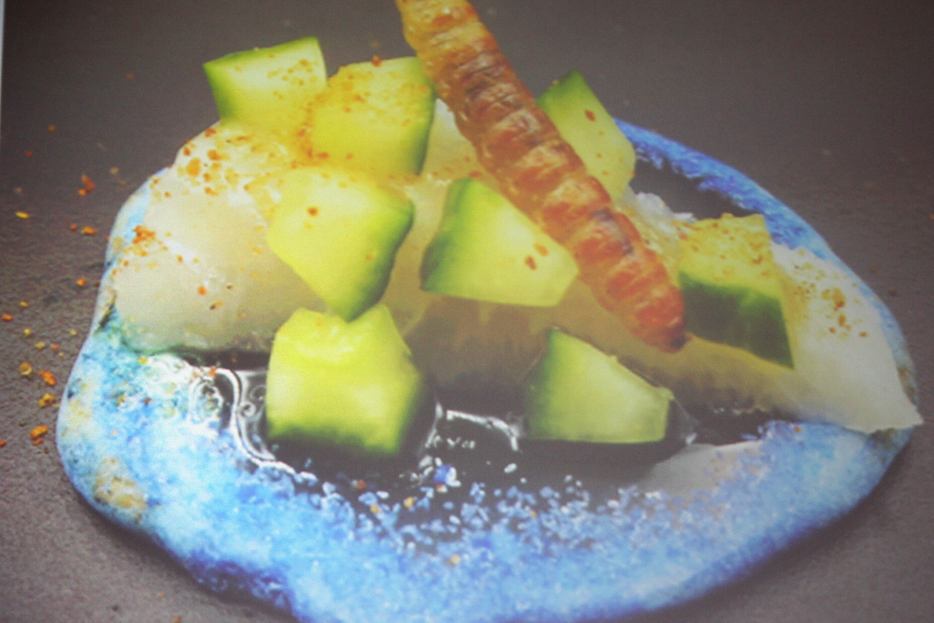 Insect Larve on lobster.