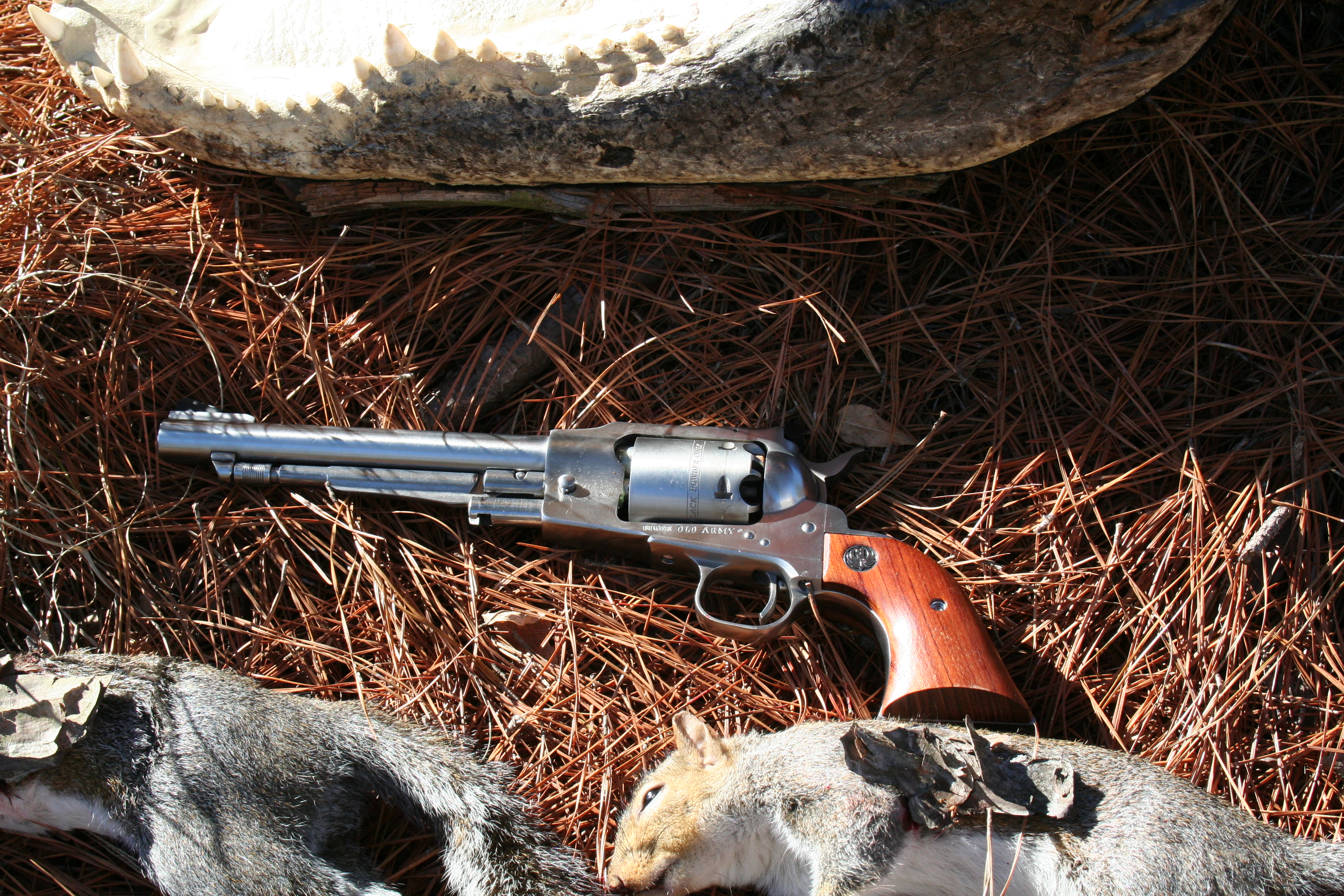 Ruger Old Army with some of its GA trophies